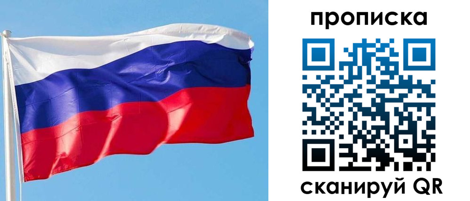 прописка поиск в Сосновоборске